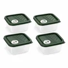 Food Storage Container Set of 4 Green