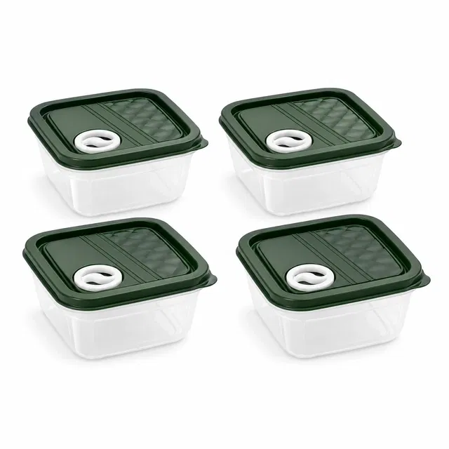 Food Storage Container Set of 4 Green