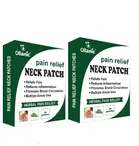 Oilanic Neck Pain Relief 10 Pcs Heat Patches 