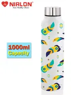 Stainless Steel Insulated Single Wall Water Bottle 