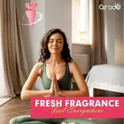 Airodo कार एयर फ्रेशनर कोन - रोज़ कपूर 1 पीस