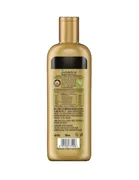 इंदुलेखा ब्रिंगा एंटी हेयरफॉल हेयर क्लेंज़र शैम्पू 340 ml