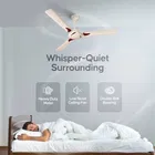 Longway Creta P2 1200 mm 3 Blade Ceiling Fan  