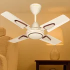 Maxotech Deco-I Ultra high Speed 24 Inch 600 mm 4 Blade Ceiling Fan  (Anti Dust | Ivory | Pack of 1)