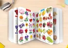 All in one Learning Board book for Pre-nursery Kids 