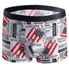 Lycra Printed Trunks for Men, Assorted, Pack of 2 