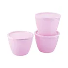 Fresherware Airtight Oval Containers Pack of 3 