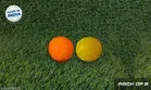 PVC Cricket Balls (Yellow & Orange, Pack of 2)