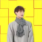 Woolen Checked Muffler for Men & Women 