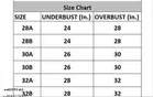 Cotton Solid Bras for Women, Assorted, Pack of 4 