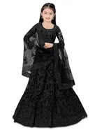 Net Embroidered Semi Stitched Lehenga for Girls 
