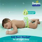पेम्पर्स डायपर पैंट्स - L 
