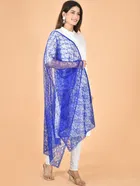 Net Self-Design Dupatta for Women 