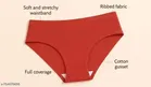 Nylon Briefs for Women, Multicolour, Pack of 6 