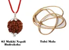 5 Mukhi Nepali Rudraksha & Tulsi Kanthi Mala (Brown, Set of 2)