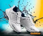 Sports Shoes for Men, White 