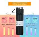 Stainless Steel Vacuum Flask Set with 2 Cups 