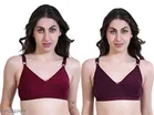 Hosiery Solid Bras for Women, Wine & Maroon, Pack of 2 