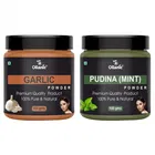 Natural Garlic & Pudina Powder for Skin & Hair 