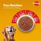 Pedigree Chicken and Liver Chunks in Gravy Adult Dog Wet Food 