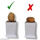 Potato Slicer & Peeler 