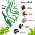 Natural Reetha & Onion Powder for Skin & Hair 