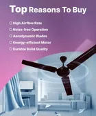 Crompton SUREBREEZE Star Briz 