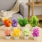 Green Gallery Mini plants Pack of 8