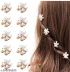 Metal Hair Clips for Women 