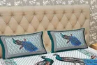 Cotton Queen Bedsheet with 2 Pillow Cover 
