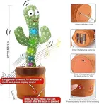 Dancing Cactus Toy