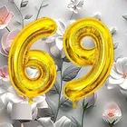 Foil Balloon for Birthday Celebration, No. 69 