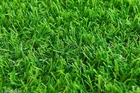 Artificial Grass Doormat 
