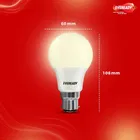 Eveready 9 W Standard 2 Pcs B22 LED Bulb 