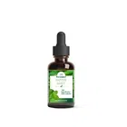 Divyamrut Peppermint Essential Oil (30 ml)