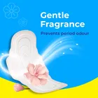 परी ड्राई फील सैनिटरी पैड्स 