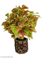 Plastic Artificial Flower With Pot,Multicolour