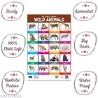 Bookford Publications My small chart My Body, Wild Animals & Colors 