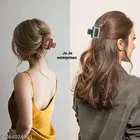 Plastic Hair Clutcher for Women & Girls 