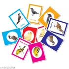 Flash Cards - Set of 2 Flash Cards for Kids - Animals, Birds