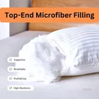 Continental Filled Stripe Pillow 16X26Inch Pack Of 1