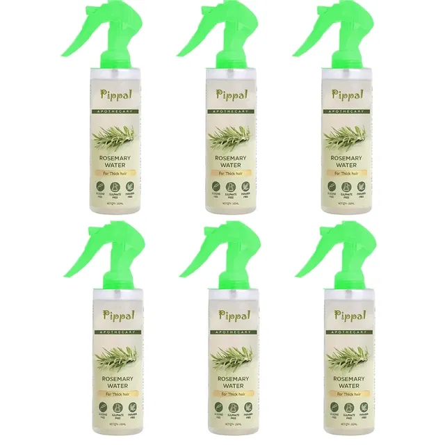 Pippal Rosemary Water Hair Spray (100 ml, Pack of 6)