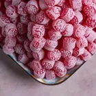 शदानी पान कैंडी कैन 230 g