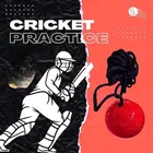 Red PVC Practice Hanging Cricket Ball Standard Size 