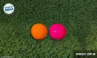 PVC Cricket Balls (Pink & Orange, 2)
