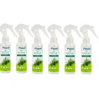 Pippal Rosemary Water Hair Spray 