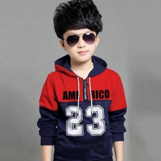 Light Fleece Printed Hoodie for Kids (Multicolour, 2- 4 Years)