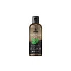 Beardox 100% Pure & Natural Cold Pressed Moringa Oil For Hair, Skin & Anti-Ageing Face Care 