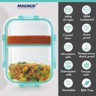 मैग्नस ग्लॉक खाद्य डिवाइडर आयताकार कंटेनर 580 ml