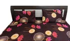 Polyester Floral Printed Double Bedsheet with Two Pillow Cover 